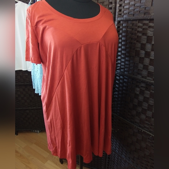 Dresses & Skirts - Sz 16 NWT MEASOR Pumpkin Spice Oversized Swing Dress